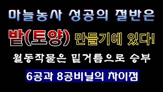 [텃밭농부 2,059]  마늘의 성공적인 재배는 토양만들기가 절반 이상이다# 마늘재배