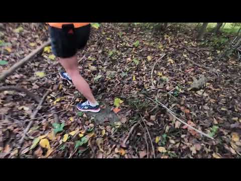 Exploring the Outbuildings at the Historic Officer House