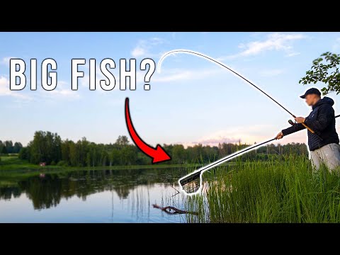 This Rig Catches Me Tench 90% Of The Time