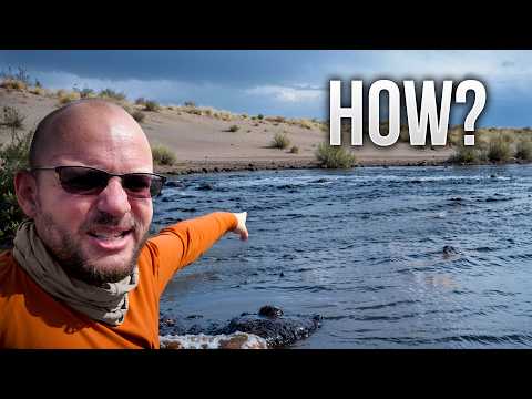 We Tamed a Raging Desert Flood