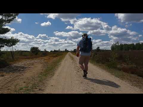 Wanderung Heidschnuckenweg Etappe 6