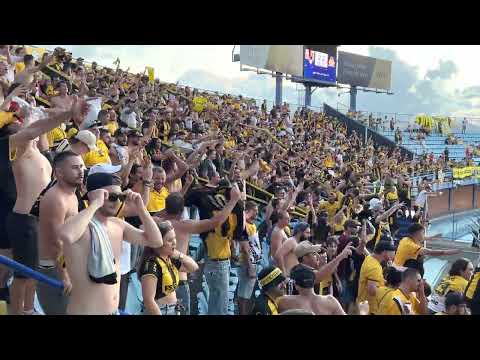 Perdendo e cantando!!! - Avaí 2 x 2 Criciúma