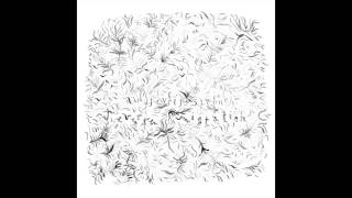 Au Revoir Simone - I Couldn&#39;t Sleep (Darkel Remix)