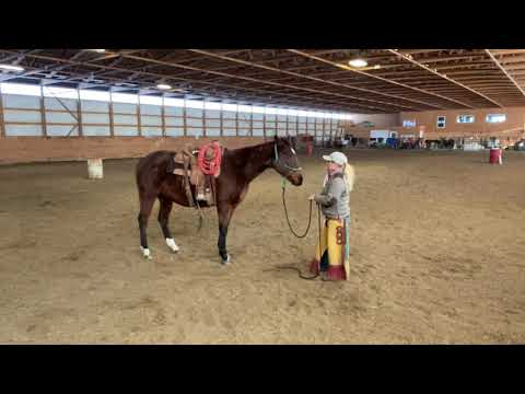 Collection from the Ground: The beginning