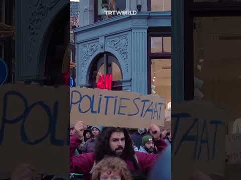 Dutch police assault pro-Palestine protesters in Amsterdam