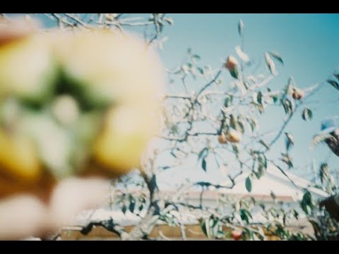 デザイン学科 15センチのノート／小林花観（映画・映像専攻領域）