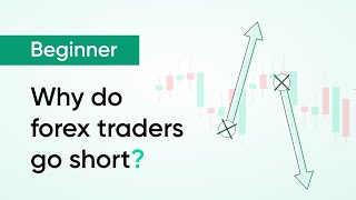 Why do traders go short?