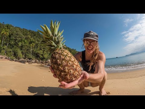 5 Days on a Remote Brasilian Island! Sailing Vessel Delos Ep. 175