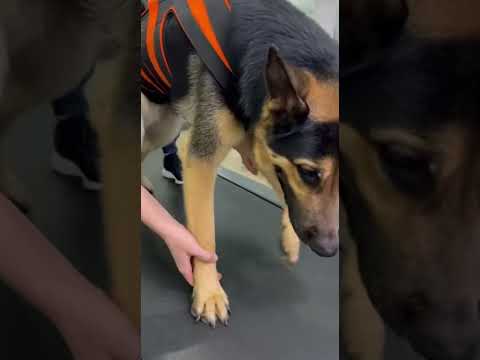 ШАНС ОДИН НА МИЛЛИОН    🦴🚑