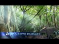 NOVA Arctic Dinosaurs
