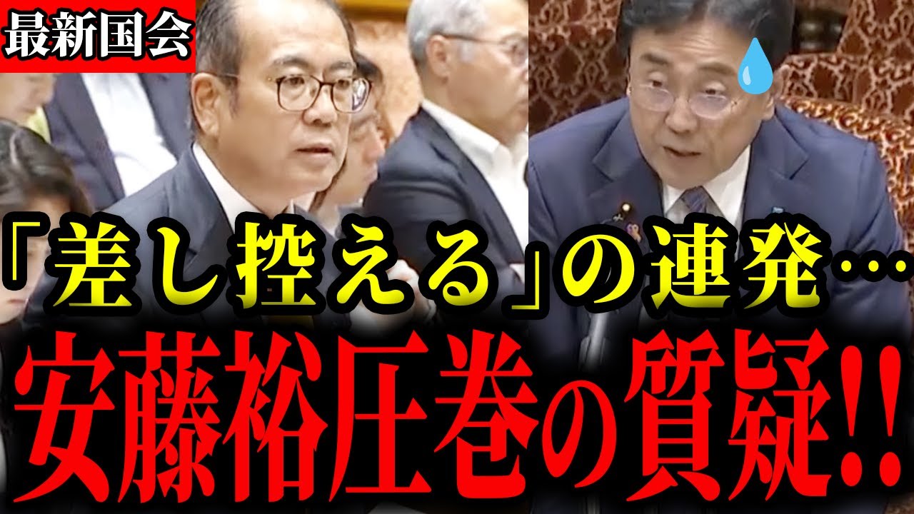 【参政党】安藤議員の圧巻な質疑に財務省も外務省も完全敗北しました【神谷宗幣】