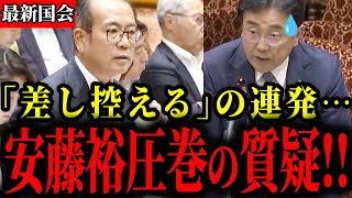 【参政党】安藤議員の圧巻な質疑に財務省も外務省も完全敗北しました【神谷宗幣】