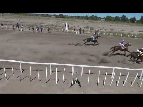 EL PANA  "Club Hipico Cabo Alarcon" - Picun Leufu - Neuquen - 26-02-2023