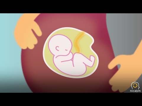 How Trauma Can Impact a Child in Utero, with Allan Schore
