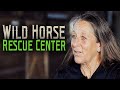 Wild Horse Rescue Center - Horse Rescue Heroes | S3E2