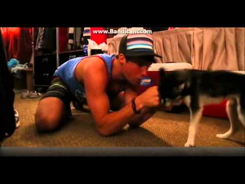 On The Road With BTR: Big Time Pups