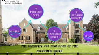 The Diversity and Evolution of the Apodiform order: