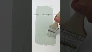 Sea Salt by Sherwin Williams is a popular paint color known for its serene and calming qualities.