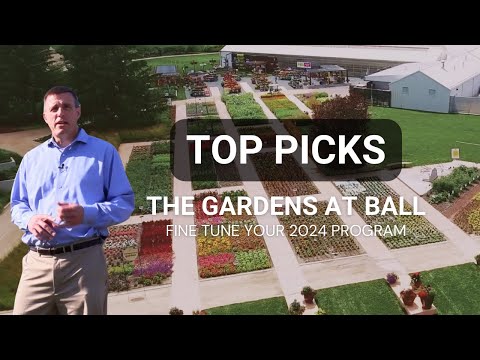 Ball Seed's Top Picks from The Gardens at Ball 2023 thumbnail