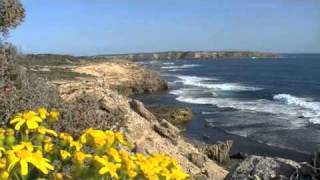 preview picture of video '2010 020 EYRE PENINSULAR Part 1 Cowell to Coffin Bay'