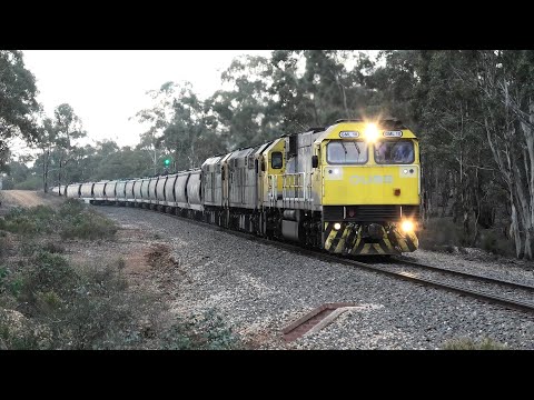 GML10-8044-8037 on 7762V ex Birchip crest Gooseberry Hill at Dunolly.   12-07-20.   15.57.33.