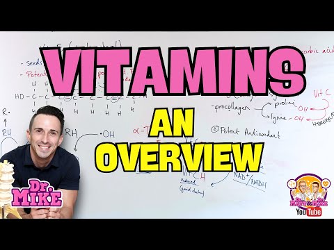 Vitamins | An Overview
