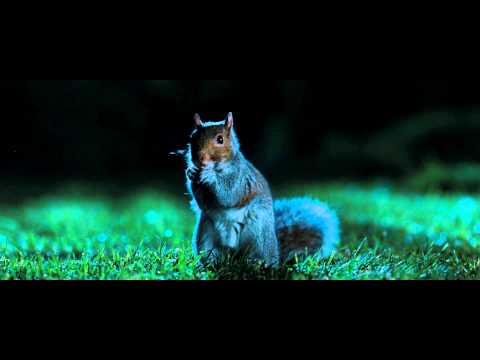 Миссия Дарвина - Трейлер