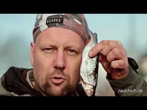 Mount bait fish correctly