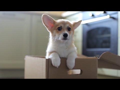 Фото Монтаж відео для YouTube каналу