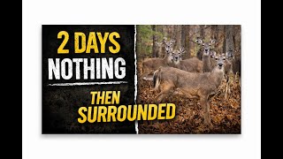 We Saw NOTHING for 2 Days - Then this HAPPENED! | Missouri Antlerless Season