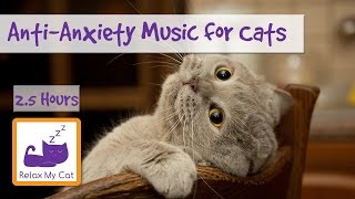 Anti-Anxiety Music for Cats and Kittens! Soothe your Cat with our Relaxation Music! 🐱 #ANXIETY05