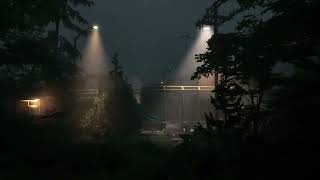 VideoImage1 The Lost Wild