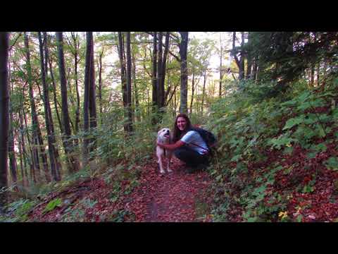 Autumn hues around Skakavac Waterfall