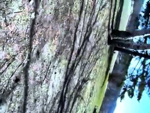 luviweb.it - si schianta su un ripostiglio