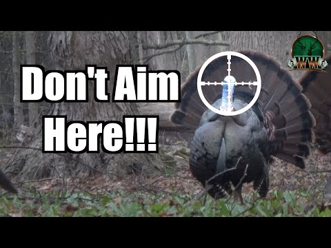 YOU'RE AIMING WRONG! Turkey Shot Placement | Shotgun Turkey Hunting