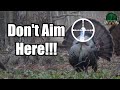 YOU RE AIMING WRONG Turkey Shot Placement Shotgun Turkey Hunting
