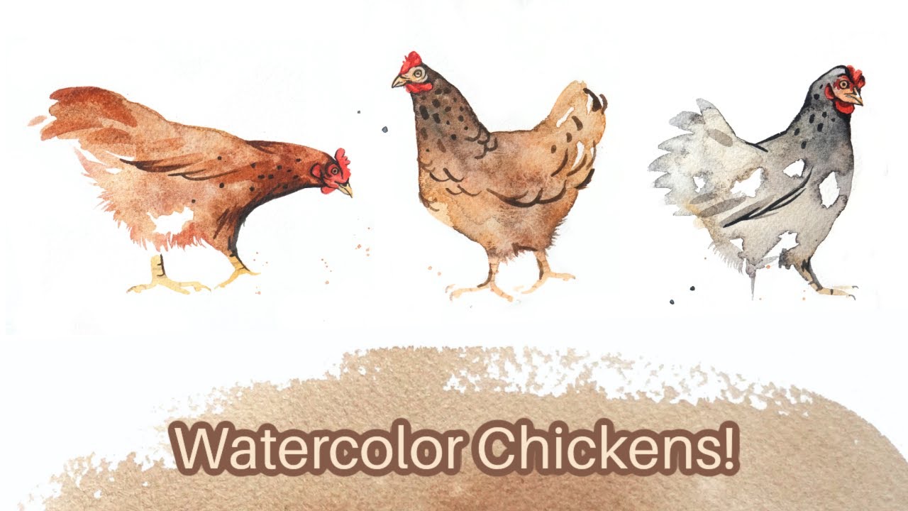Easy Watercolor Chickens - Full painting tutorial plus drawing demo