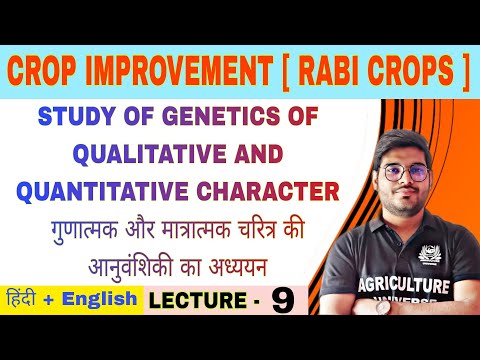 Crop Improvement rabi crops syllabus analysis bsc av 6th semester