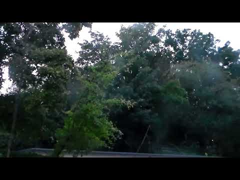 Roman der Handwerker Episode 192 Naturgrün