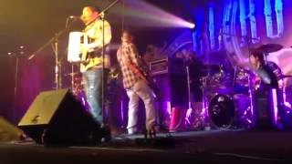 Conjunto Oro - Popurri de Palominos