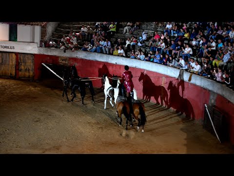 FESTIVAL ECUESTRE de PACO MARTOS . EL BARCO DE ÁVILA.