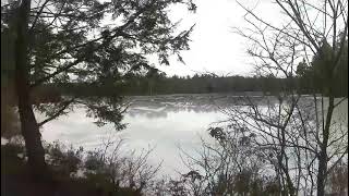 Pratt Pond View- Greenville NH  [UpNorth Trail Gem]