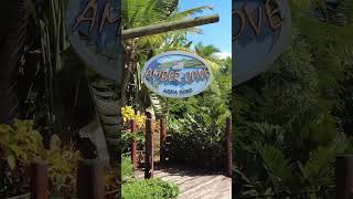 Cruise Port Shorts - Cruise Port Amber Cove in Dominican Republic