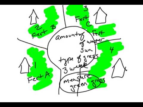 Scientific Method - Constant vs Control