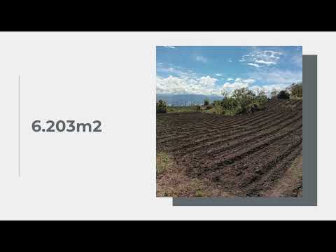 Imagen de Venta de Lotes y Terrenos en Cot - Oreamuno Cot - CARTAGO