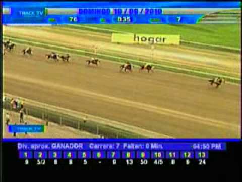 Resumen Domingo, 19 de Septiembre de 2010 - La Rinconada