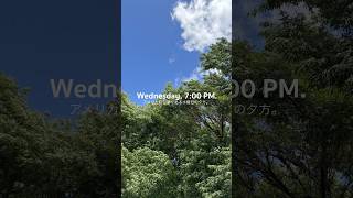 アメリカ駐在妻、とある水曜日の夕方。#アメリカ駐在妻 #アメリカ生活 #ポートランド