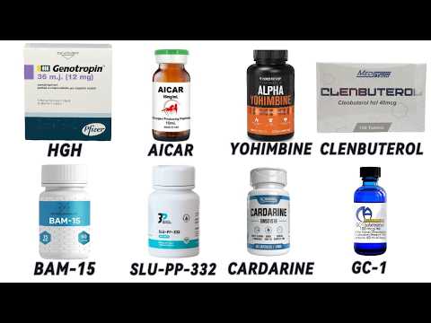 All fat burners explained! Effects and side effects summarized!