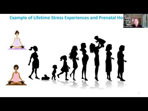 Women’s Health Over 40: Menopause & Environmental Exposures Webinar