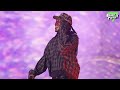 Don Toliver BANDIT LIVE Beach Please 2024
